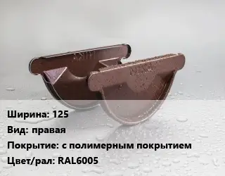 Заглушка желоба 125 правая с полимерным покрытием RAL6005